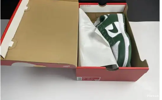 Low Dunk Spartan Green Nike DD1391-101 0501